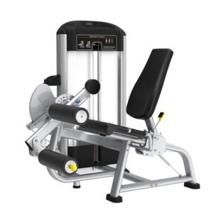 SEATED LEG CURL & EXTENSION PF25