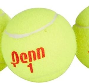 Penn Lawn Tennis Ball
