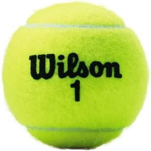 Wilson Lawn Tennis Ball